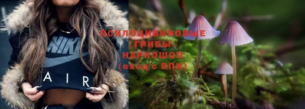 спайс Майский