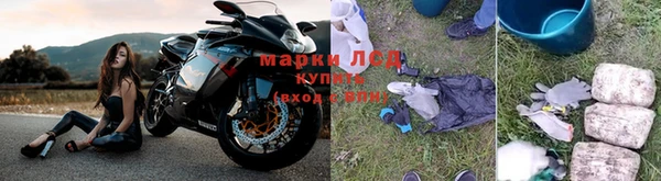 стафф Магадан