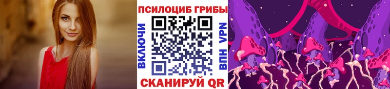 Купить где  Павлово  Галлюциногенные грибы прущие грибы 